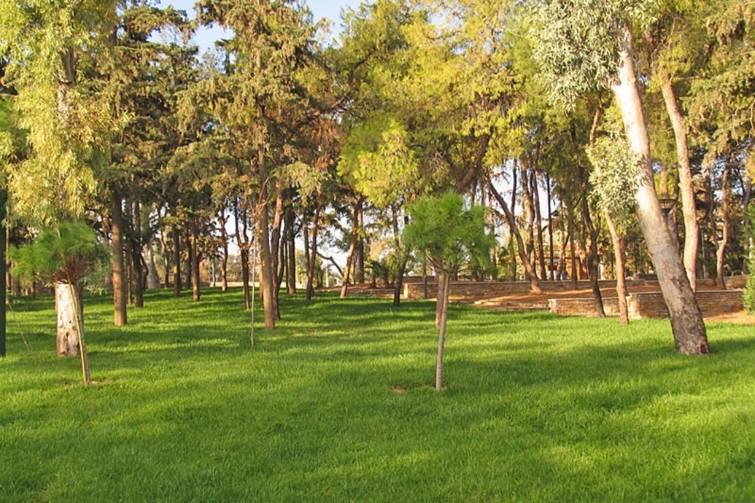 ΜΕΓΑΛΗ ΕΠΙΤΥΧΙΑ ΤΟΥ ΔΗΜΟΥ ΜΑΣ: ΧΡΗΜΑΤΟΔΟΤΕΙΤΑΙ ΑΠΟ ΤΟ ΠΡΑΣΙΝΟ ΤΑΜΕΙΟ Η ΑΝΑΠΛΑΣΗ ΤΟΥ ΑΛΣΟΥΣ