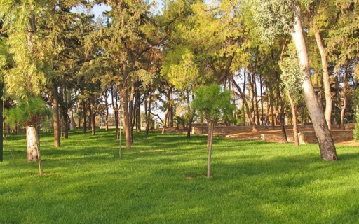 ΜΕΓΑΛΗ ΕΠΙΤΥΧΙΑ ΤΟΥ ΔΗΜΟΥ ΜΑΣ: ΧΡΗΜΑΤΟΔΟΤΕΙΤΑΙ ΑΠΟ ΤΟ ΠΡΑΣΙΝΟ ΤΑΜΕΙΟ Η ΑΝΑΠΛΑΣΗ ΤΟΥ ΑΛΣΟΥΣ