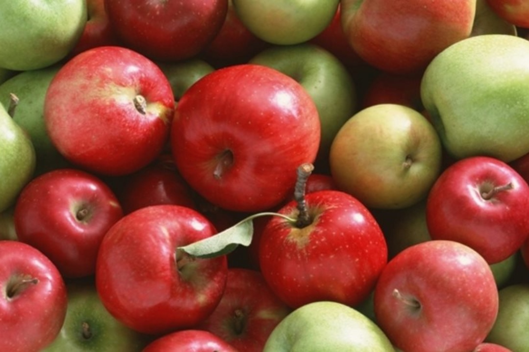 ΔΕΛΤΙΟ ΤΥΠΟΥ: Διανομή μήλων – ακτινιδίων