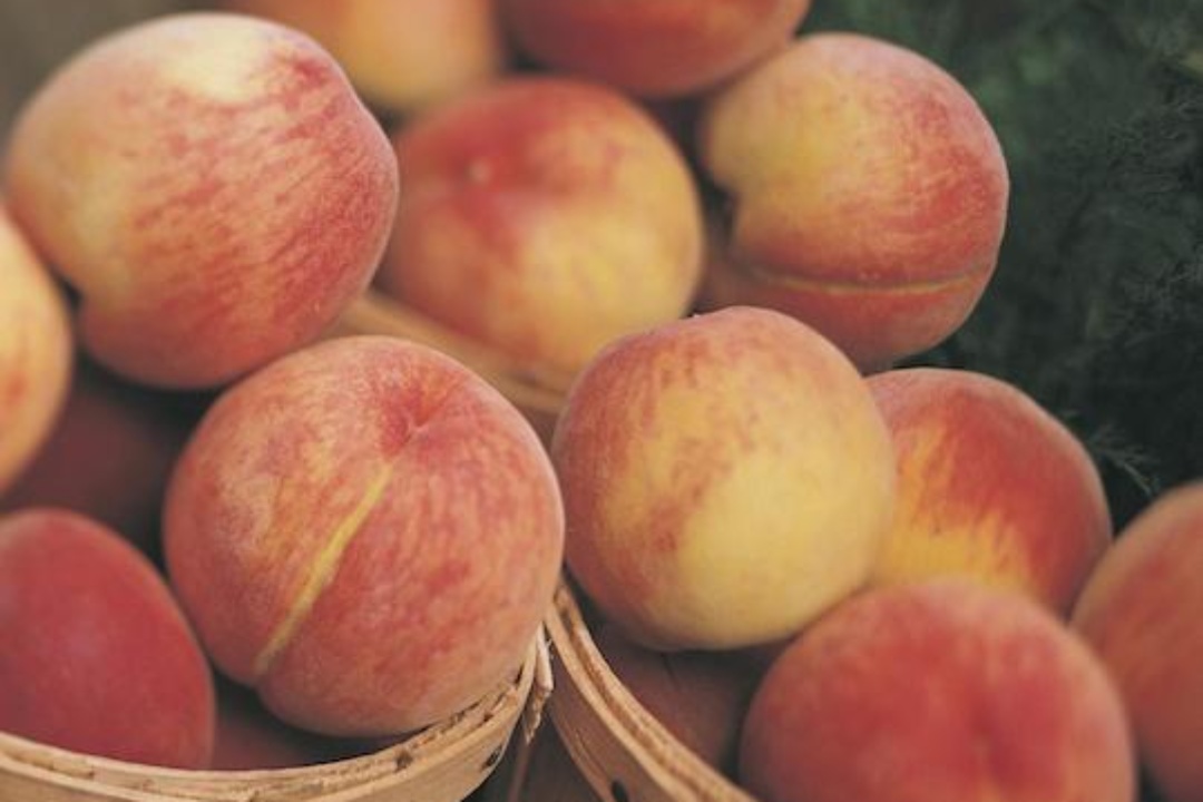 ΔΕΛΤΙΟ ΤΥΠΟΥ: Διανομή ροδάκινων