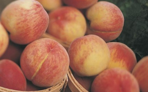 ΔΕΛΤΙΟ ΤΥΠΟΥ: Διανομή ροδάκινων