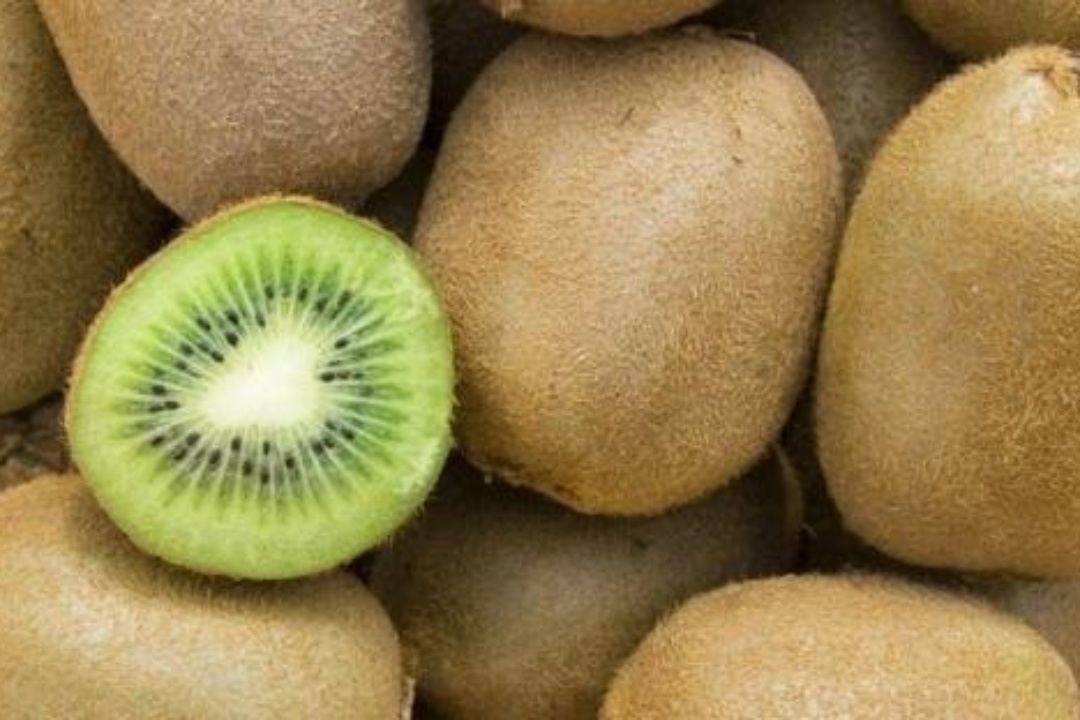 ΔΕΛΤΙΟ ΤΥΠΟΥ: Δωρεάν διανομή ακτινιδίων