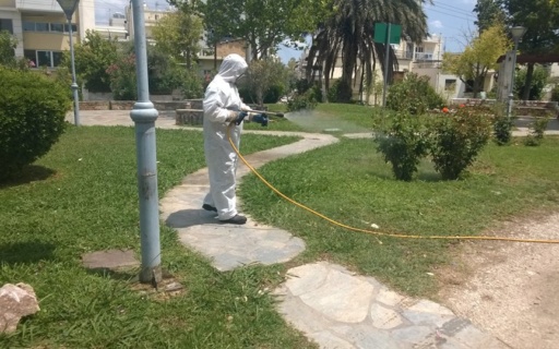 ΔΕΛΤΙΟ ΤΥΠΟΥ: Ψεκασμοί για την καταπολέμηση κουνουπιών στο Δήμο μας