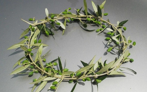 ΑΝΑΚΟΙΝΩΣΗ: Ημερίδα Αθλητισμού – 11/4/2019