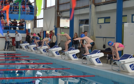 ΔΕΛΤΙΟ ΤΥΠΟΥ: Κολυμβητική ημερίδα στο ανακαινισμένο Κλειστό Δημοτικό Κολυμβητήριο