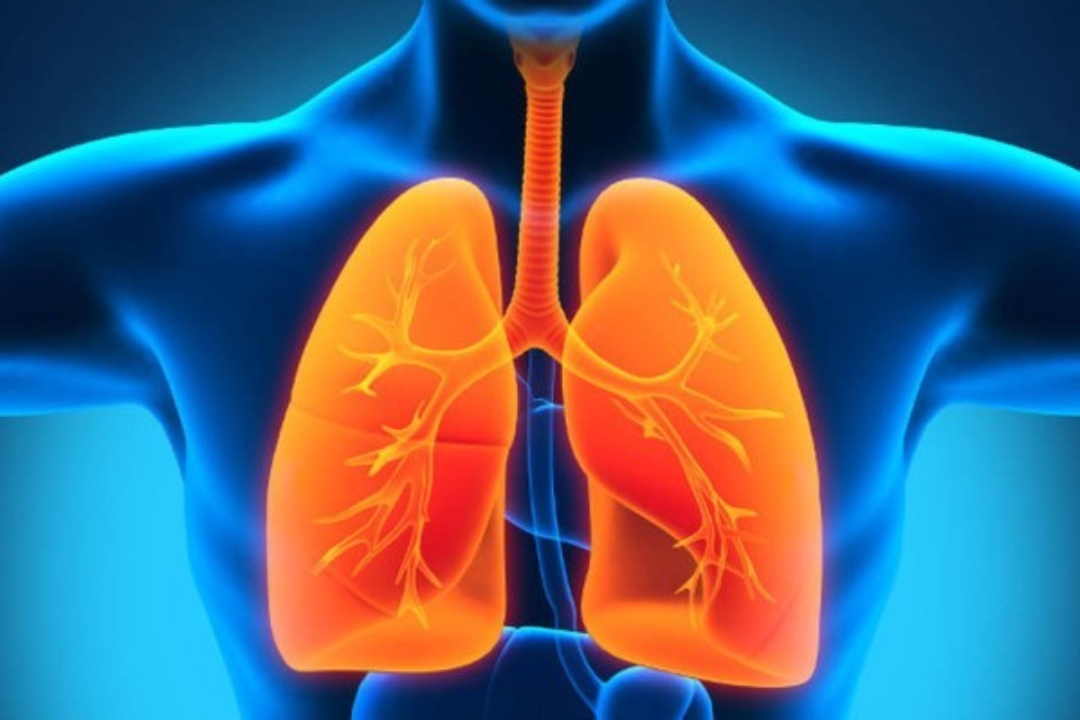 ΑΝΑΚΟΙΝΩΣΗ: Πρόσκληση στην ημερίδα με θέμα: «Πνευμονοπάθειες, ενημέρωση κατά του καπνίσματος, διατροφή και υγεία»