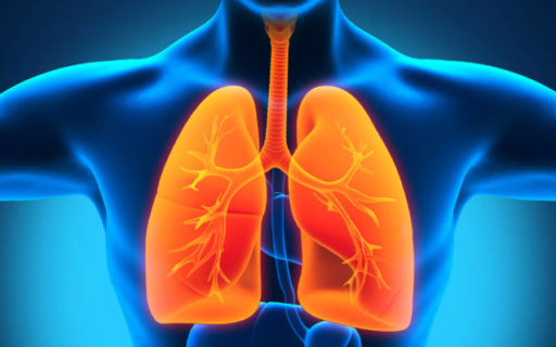 ΑΝΑΚΟΙΝΩΣΗ: Πρόσκληση στην ημερίδα με θέμα: «Πνευμονοπάθειες, ενημέρωση κατά του καπνίσματος, διατροφή και υγεία»