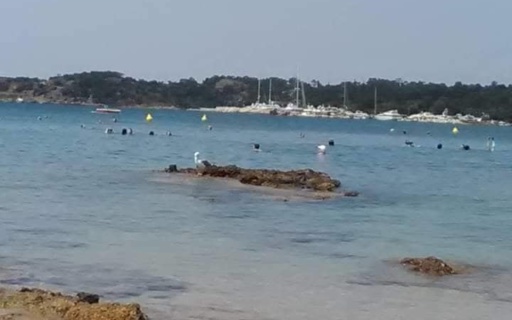 ΑΝΑΚΟΙΝΩΣΗ: Ξεκίνησαν τα θαλάσσια μπάνια