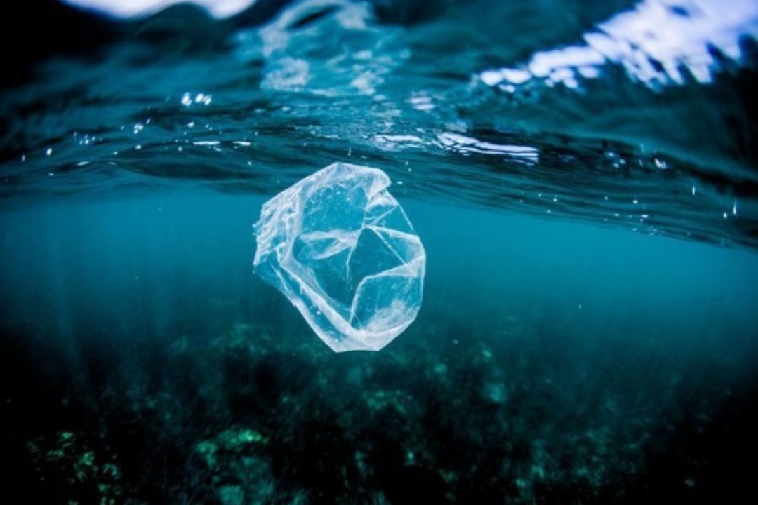 ΔΕΛΤΙΟ ΤΥΠΟΥ: Παγκόσμια ημέρα κατά της πλαστικής σακούλας