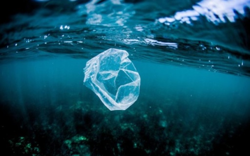 ΔΕΛΤΙΟ ΤΥΠΟΥ: Παγκόσμια ημέρα κατά της πλαστικής σακούλας