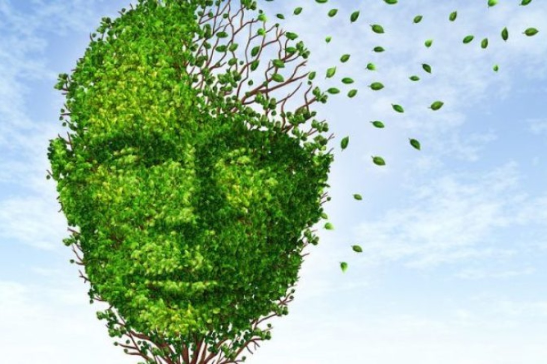 ΔΕΛΤΙΟ ΤΥΠΟΥ: Συμβουλευτικός Σταθμός για την Άνοια στο Δήμο Νέας Σμύρνης