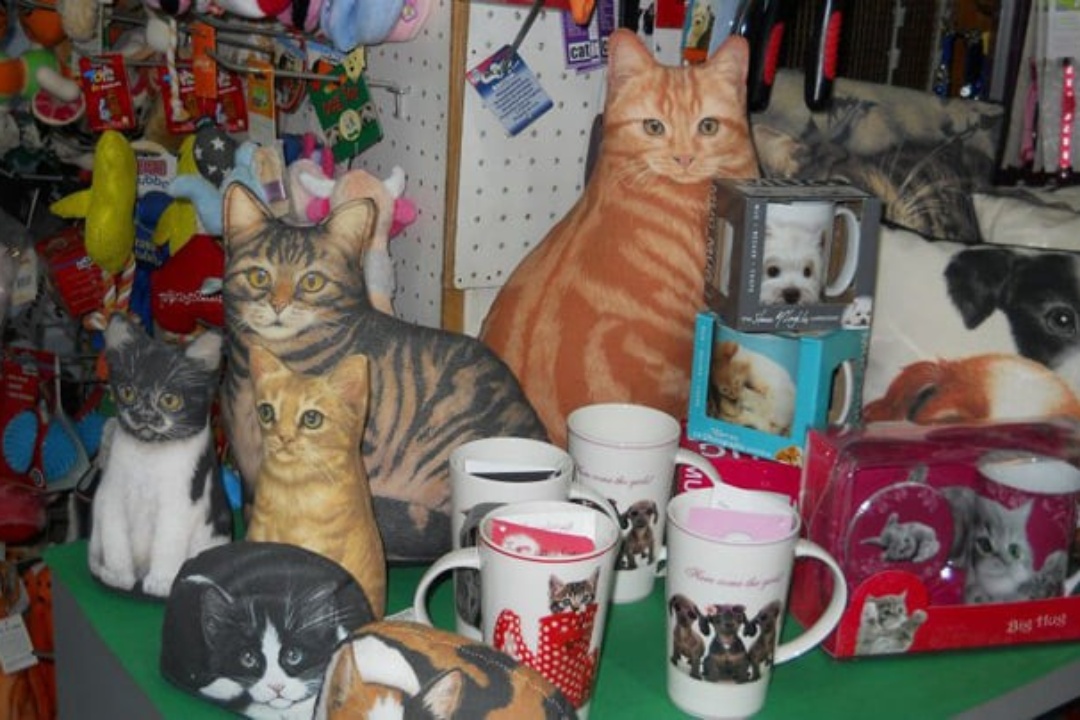 ΠΑΖΑΡΙ ΓΙΑ ΤΑ ΑΔΕΣΠΟΤΑ ΖΩΑ ΣΗΜΕΡΑ ΚΑΙ ΑΥΡΙΟ ΣΤΗΝ ΚΕΝΤΡΙΚΗ ΠΛΑΤΕΙΑ