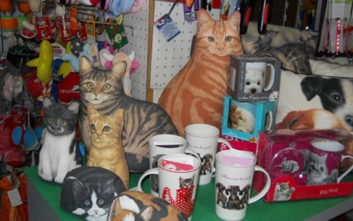 ΠΑΖΑΡΙ ΓΙΑ ΤΑ ΑΔΕΣΠΟΤΑ ΖΩΑ ΣΗΜΕΡΑ ΚΑΙ ΑΥΡΙΟ ΣΤΗΝ ΚΕΝΤΡΙΚΗ ΠΛΑΤΕΙΑ