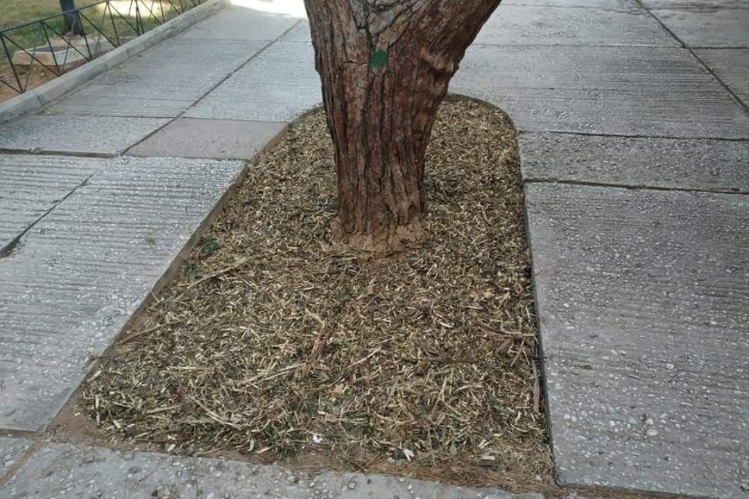 ΣΩΣΤΗ ΔΙΑΧΕΙΡΙΣΗ ΤΩΝ ΚΟΜΜΕΝΩΝ ΚΛΑΔΙΩΝ