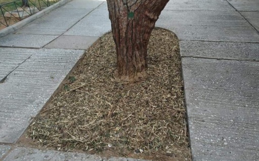 ΣΩΣΤΗ ΔΙΑΧΕΙΡΙΣΗ ΤΩΝ ΚΟΜΜΕΝΩΝ ΚΛΑΔΙΩΝ