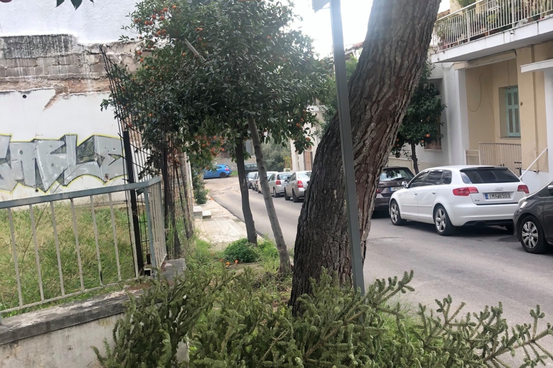 ΑΝΑΚΥΚΛΩΝΟΥΜΕ ΤΑ ΦΥΣΙΚΑ ΕΛΑΤΑ, ΔΕΝ ΤΑ ΠΕΤΑΜΕ ΣΤΟΥΣ ΚΑΔΟΥΣ