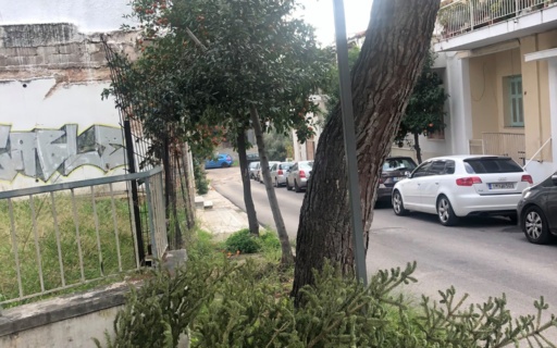 ΑΝΑΚΥΚΛΩΝΟΥΜΕ ΤΑ ΦΥΣΙΚΑ ΕΛΑΤΑ, ΔΕΝ ΤΑ ΠΕΤΑΜΕ ΣΤΟΥΣ ΚΑΔΟΥΣ