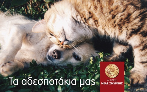ΔΗΜΟΣ ΝΕΑΣ ΣΜΥΡΝΗΣ 2021: ΝΕΕΣ ΔΡΑΣΕΙΣ ΓΙΑ ΤΗΝ ΠΡΟΣΤΑΣΙΑ ΤΩΝ ΑΔΕΣΠΟΤΩΝ ΖΩΩΝ