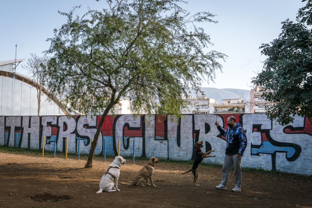 ΕΤΟΙΜΟ ΤΟ ΠΡΩΤΟ ΠΑΡΚΟ ΣΚΥΛΩΝ ΣΤΗ ΝΕΑ ΣΜΥΡΝΗ