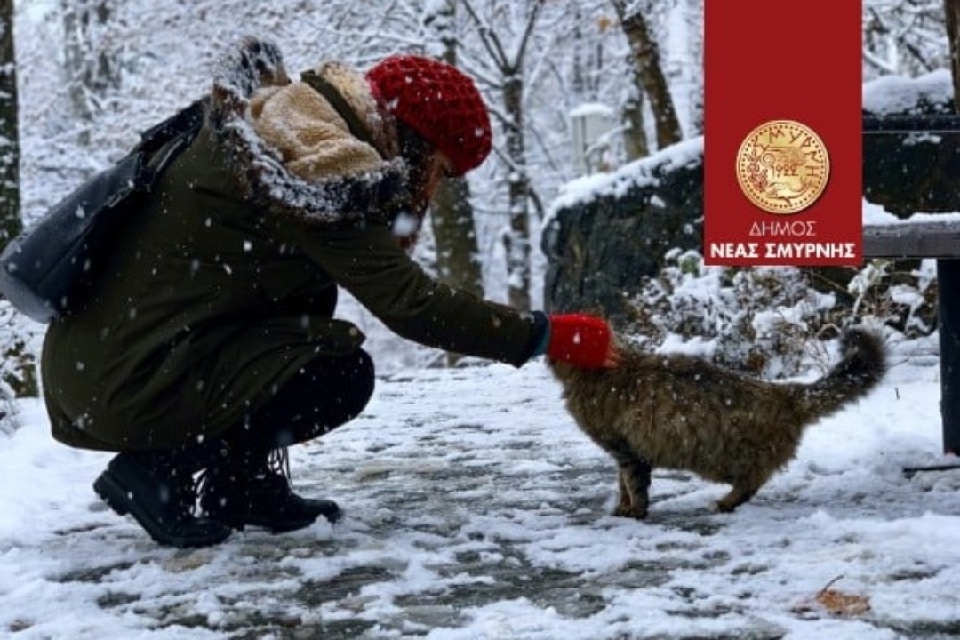 ΒΟΗΘΑΜΕ ΤΟΥΣ ΑΔΕΣΠΟΤΟΥΣ ΦΙΛΟΥΣ ΜΑΣ ΝΑ ΑΝΤΕΞΟΥΝ ΣΤΟ ΚΡΥΟ