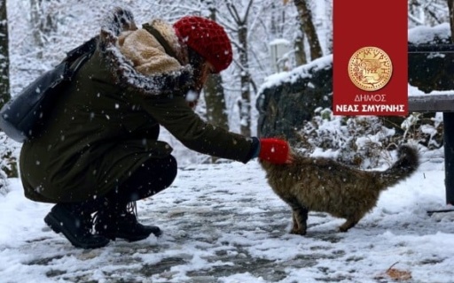 ΒΟΗΘΑΜΕ ΤΟΥΣ ΑΔΕΣΠΟΤΟΥΣ ΦΙΛΟΥΣ ΜΑΣ ΝΑ ΑΝΤΕΞΟΥΝ ΣΤΟ ΚΡΥΟ