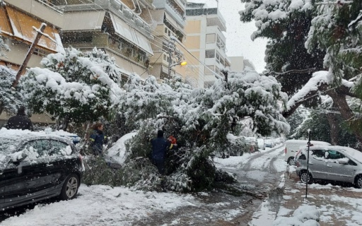 ΕΥΧΑΡΙΣΤΙΕΣ ΠΡΟΣ ΤΟ ΠΥΡΟΣΒΕΣΤΙΚΟ ΣΩΜΑ ΚΑΛΛΙΘΕΑΣ