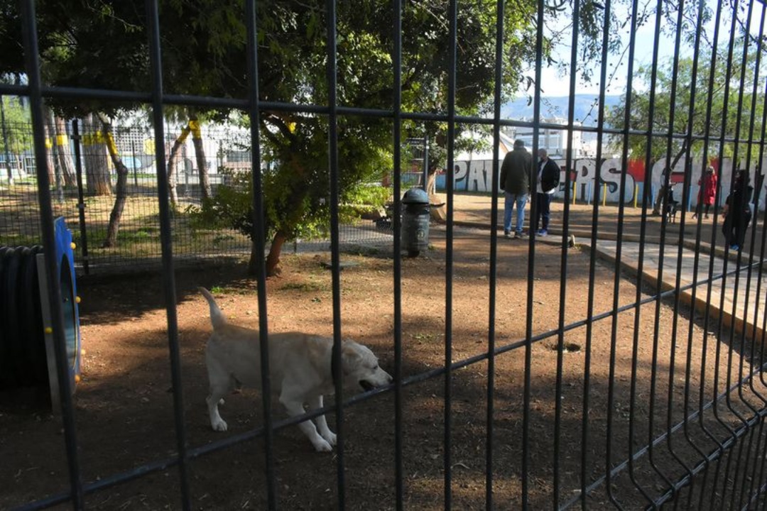 ΔΥΣΤΥΧΩΣ ΤΟ ΠΡΩΤΟ ΠΑΡΚΟ ΣΚΥΛΩΝ ΤΟΥ ΔΗΜΟΥ ΜΑΣ ΚΛΕΙΝΕΙ