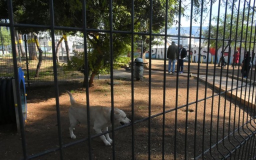 ΔΥΣΤΥΧΩΣ ΤΟ ΠΡΩΤΟ ΠΑΡΚΟ ΣΚΥΛΩΝ ΤΟΥ ΔΗΜΟΥ ΜΑΣ ΚΛΕΙΝΕΙ