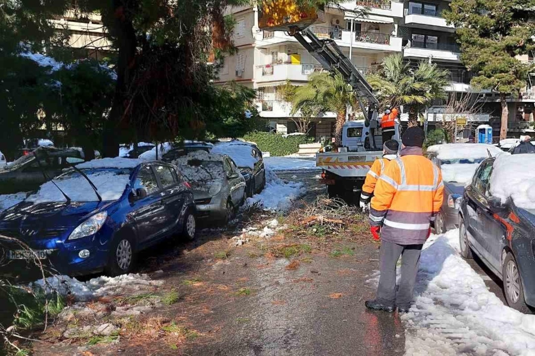 ΕNA ΜΕΓΑΛΟ ΕΥΧΑΡΙΣΤΩ ΣΤΟΥΣ ΑΝΘΡΩΠΟΥΣ ΤΗΣ ΓΕΩΠΟΝΙΚΗΣ ΚΑΙ ΤΗΣ ΥΠΗΡΕΣΙΑΣ ΚΑΘΑΡΙΟΤΗΤΑΣ ΤΟΥ ΔΗΜΟΥ ΜΑΣ