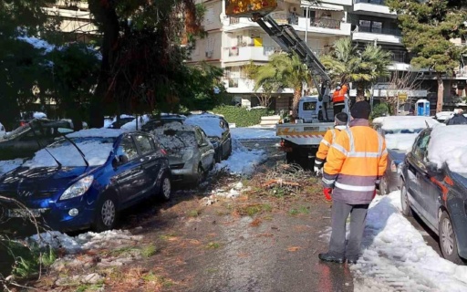 ΕNA ΜΕΓΑΛΟ ΕΥΧΑΡΙΣΤΩ ΣΤΟΥΣ ΑΝΘΡΩΠΟΥΣ ΤΗΣ ΓΕΩΠΟΝΙΚΗΣ ΚΑΙ ΤΗΣ ΥΠΗΡΕΣΙΑΣ ΚΑΘΑΡΙΟΤΗΤΑΣ ΤΟΥ ΔΗΜΟΥ ΜΑΣ