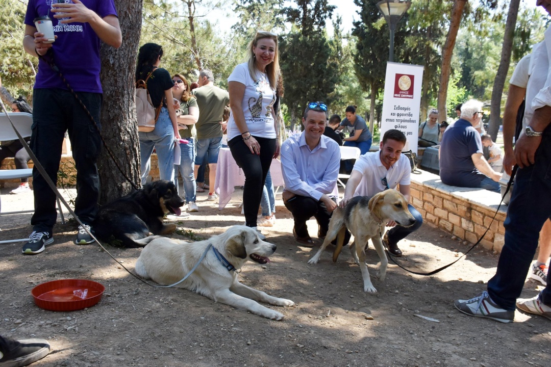 1η Ημέρα Υιοθεσίας Αδέσποτων Ζώων στη Νέα Σμύρνη
