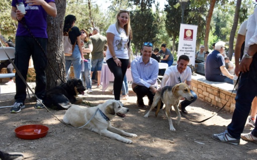 1η Ημέρα Υιοθεσίας Αδέσποτων Ζώων στη Νέα Σμύρνη