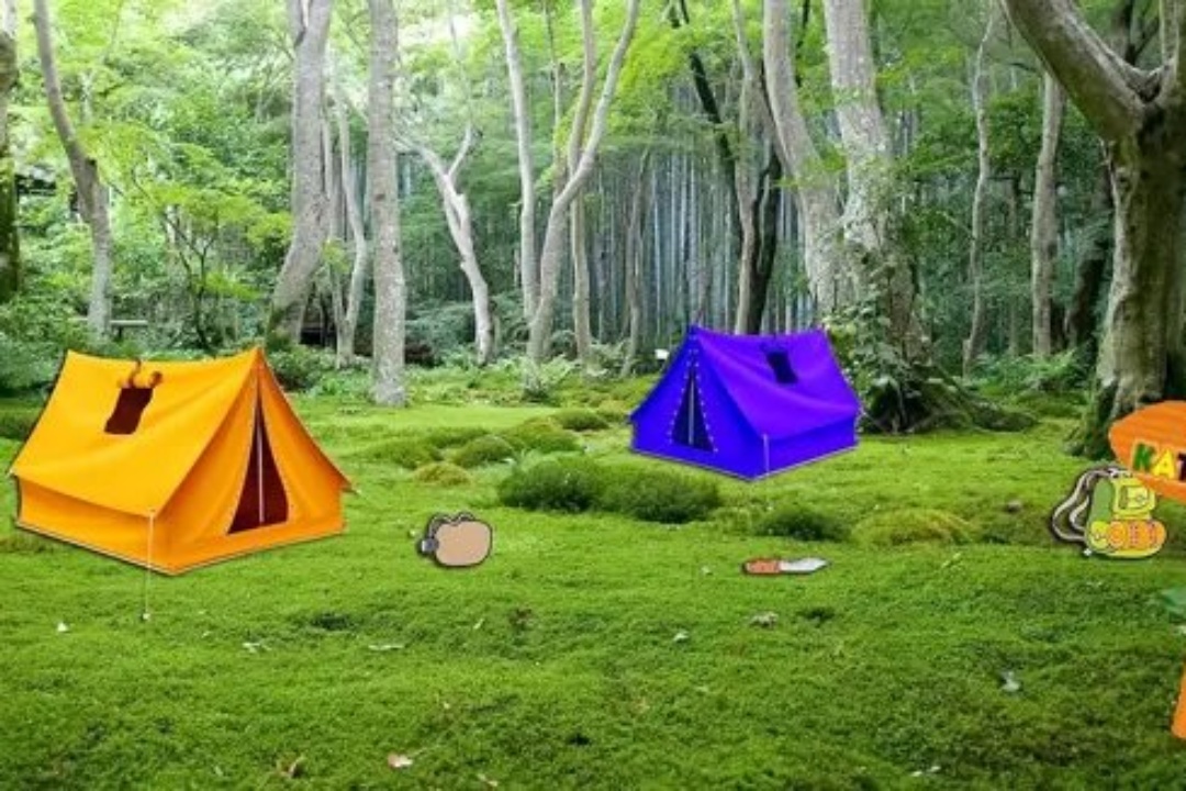 ΠΑΙΔΙΚΕΣ ΚΑΤΑΣΚΗΝΩΣΕΙΣ 2022