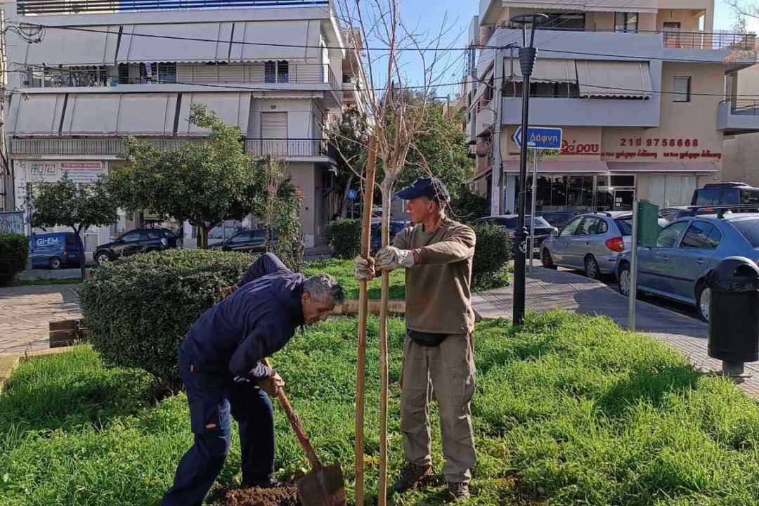ΔΕΝΔΡΟΦΥΤΕΥΣΕΙΣ ΣΤΗ ΝΕΑ ΣΜΥΡΝΗ