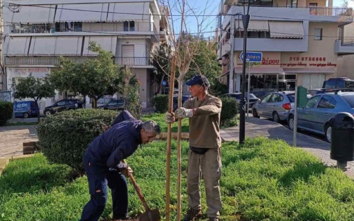 ΔΕΝΔΡΟΦΥΤΕΥΣΕΙΣ ΣΤΗ ΝΕΑ ΣΜΥΡΝΗ
