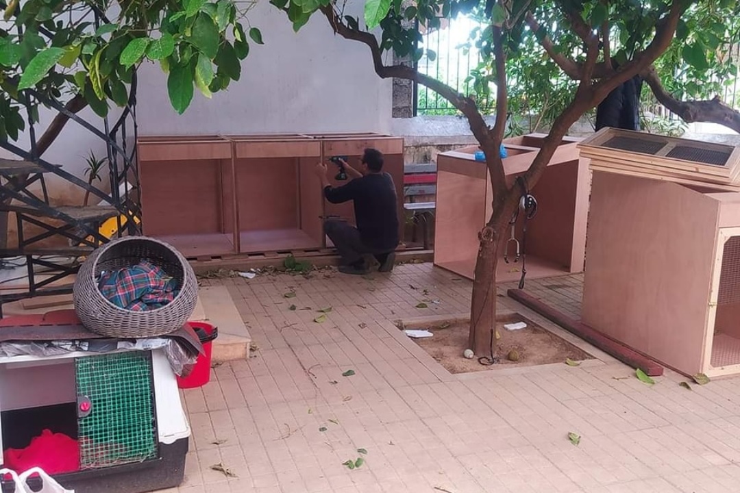 ΝΕΑ ΣΠΙΤΑΚΙΑ ΓΙΑ ΑΔΕΣΠΟΤΑ ΣΤΑ ΓΡΑΦΕΙΑ ΤΗΣ ΑΣΤΙΚΗΣ ΠΑΝΙΔΑΣ