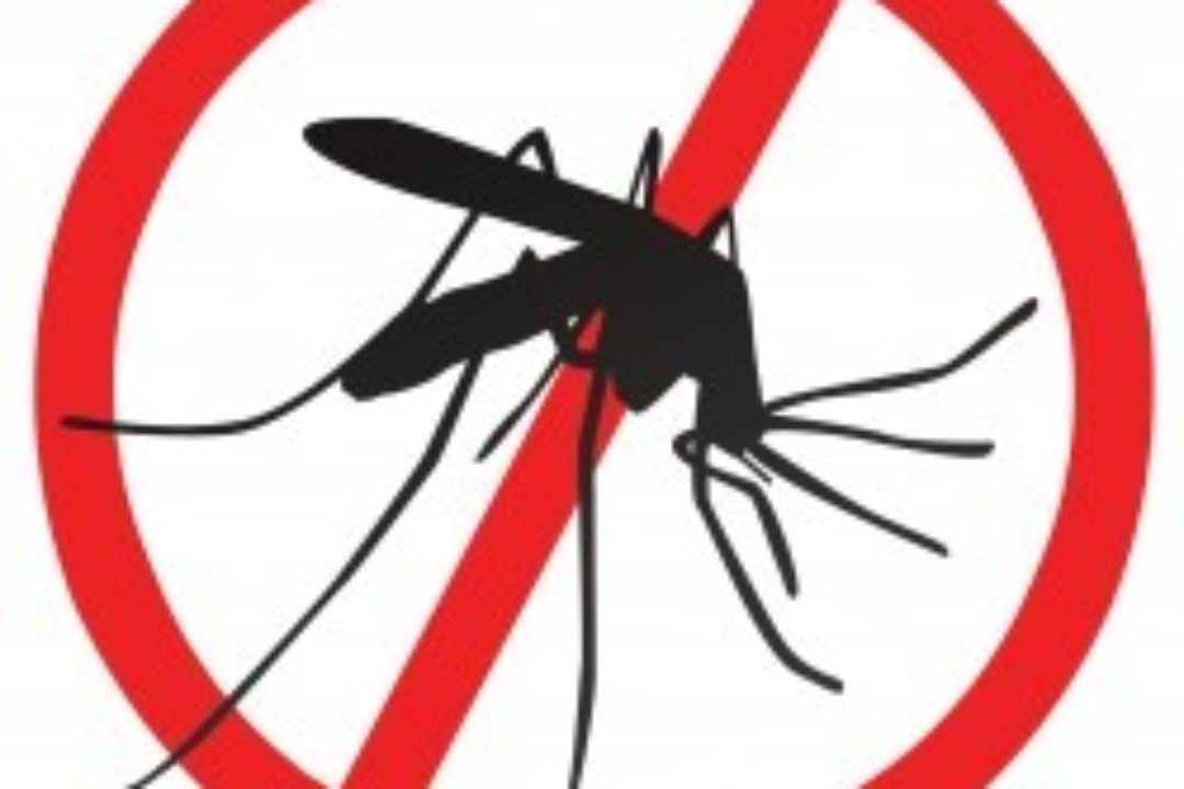 ΠΡΟΓΡΑΜΜΑ ΚΑΤΑΠΟΛΕΜΗΣΗΣ ΚΟΥΝΟΥΠΙΩΝ ΣΤΟ ΔΗΜΟ ΝΕΑΣ ΣΜΥΡΝΗΣ