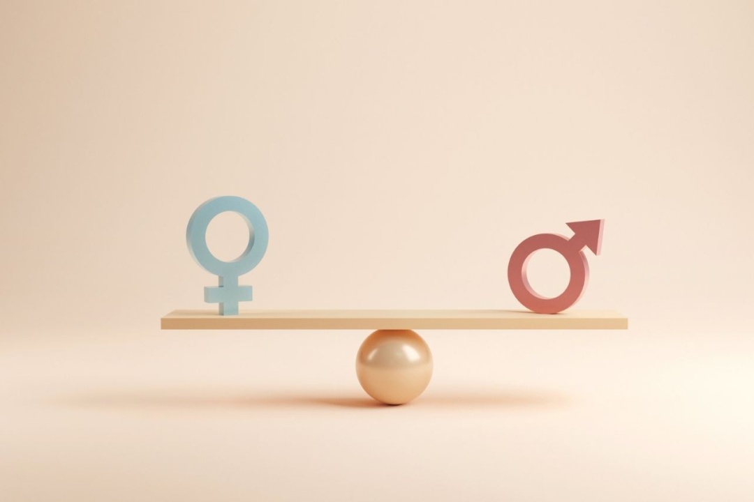 ΔΗΜΟΤΙΚΗ ΕΠΙΤΡΟΠΗ ΙΣΟΤΗΤΑΣ ΣΤΟ ΔΗΜΟ ΝΕΑΣ ΣΜΥΡΝΗΣ