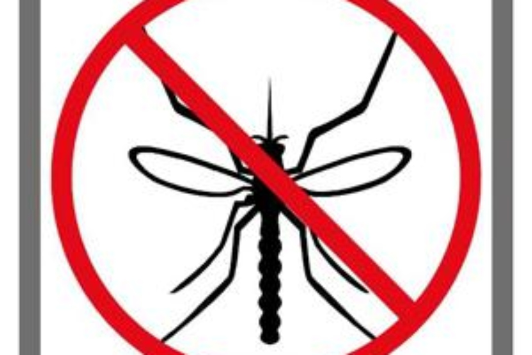 Συμβουλές προς τους κατοίκους για την προστασία από τα κουνούπια