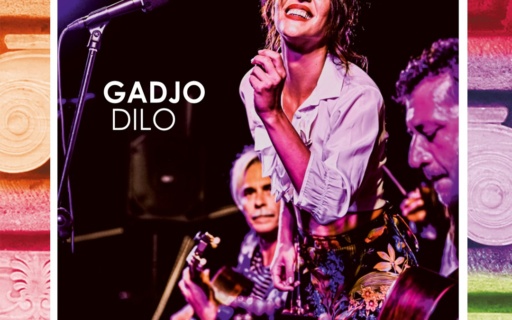 ΑΝΑΒΑΛΛΕΤΑΙ Η ΣΗΜΕΡΙΝΗ ΣΥΝΑΥΛΙΑ ΤΩΝ GADGO DILO