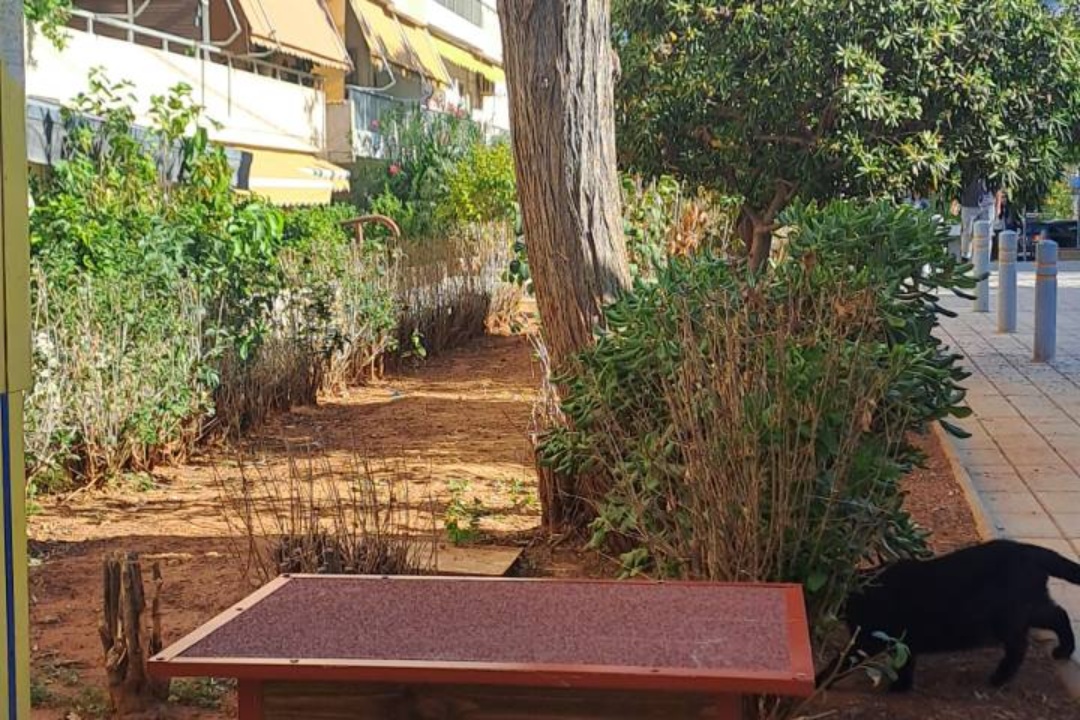 ΝΕΑ ΓΑΤΟΣΠΙΤΑΚΙΑ ΑΠΟ ΤΗΝ ΑΣΤΙΚΗ ΠΑΝΙΔΑ