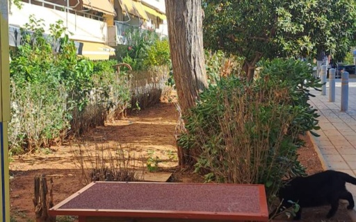 ΝΕΑ ΓΑΤΟΣΠΙΤΑΚΙΑ ΑΠΟ ΤΗΝ ΑΣΤΙΚΗ ΠΑΝΙΔΑ