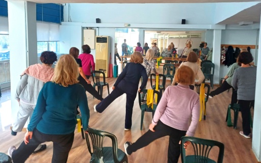 ΠΡΟΓΡΑΜΜΑ OTAGO ΑΠΟ ΤΗΝ ΚΟΙΝΩΝΙΚΗ ΥΠΗΡΕΣΙΑ ΤΟΥ ΔΗΜΟΥ Ν.ΣΜΥΡΝΗΣ ΓΙΑ ΤΗ ΠΡΟΛΗΨΗ ΠΤΩΣΕΩΝ ΣΤΗ ΤΡΙΤΗ ΗΛΙΚΙΑ