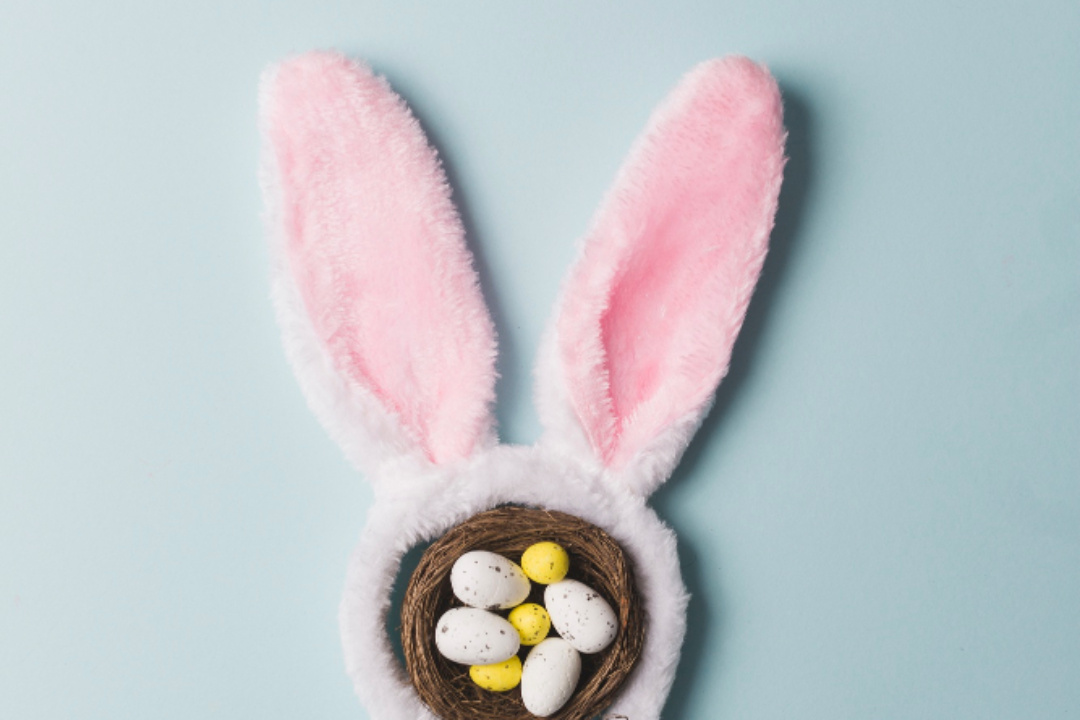 ΕΟΡΤΑΣΤΙΚΟ ΠΡΟΓΡΑΜΜΑ ΔΗΜΟΤΙΚΩΝ ΓΥΜΝΑΣΤΗΡΙΩΝ & ΔΗΜΟΤΙΚΟΥ ΚΟΛΥΜΒΗΤΗΡΙΟΥ