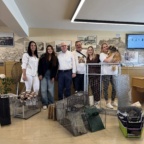 ΕΞΕΙΔΙΚΕΥΜΕΝΟ ΣΕΜΙΝΑΡΙΟ ΓΙΑ ΤΗΝ ΠΕΡΙΘΑΛΨΗ ΤΩΝ ΑΔΕΣΠΟΤΩΝ ΣΤΟΝ ΔΗΜΟ ΝΕΑΣ ΣΜΥΡΝΗΣ