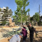 ΕΓΚΑΙΝΙΑΖΟΝΤΑΙ ΤΟ ΣΑΒΒΑΤΟ ΟΙ ΠΑΙΔΙΚΕΣ ΧΑΡΕΣ ΤΟΥ ΑΛΣΟΥΣ