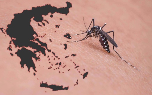 ΠΡΟΣΤΑΣΙΑ ΑΠΟ ΤΟΝ ΙΟ ΤΟΥ ΔΥΤΙΚΟΥ ΝΕΙΛΟΥ – ΨΕΚΑΣΜΟΙ ΚΑΙ ΕΝΕΡΓΕΙΕΣ ΤΟΥ ΔΗΜΟΥ